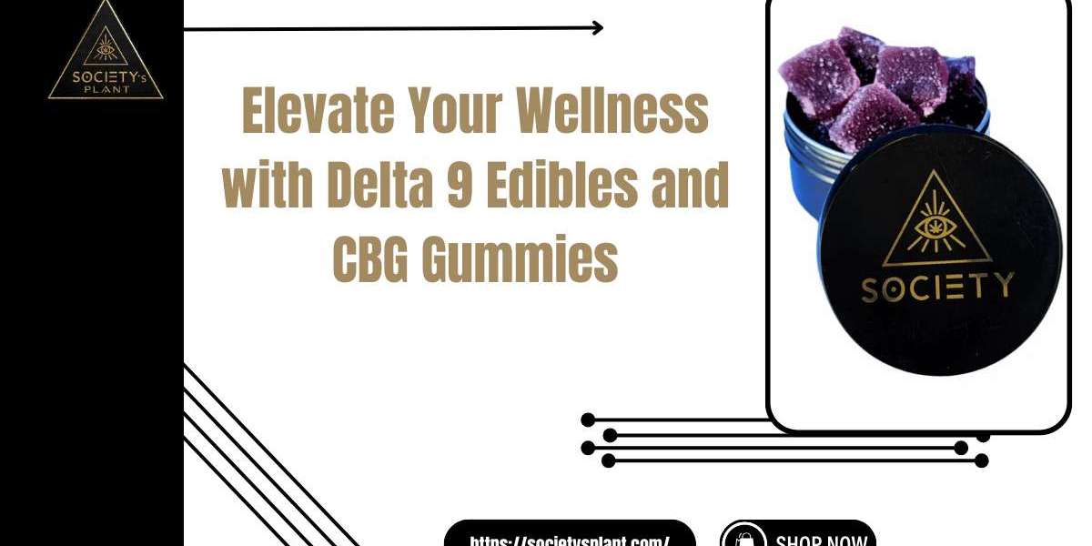 Delta 9 Edibles & CBG Gummies for Focused Days