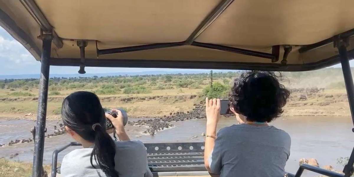 Leading the Way Among Tanzania Safari Tour Companies
