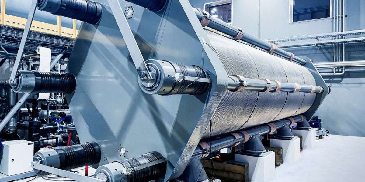Hydrogen electrolyzer market insights reveal transformative potential in clean energy transition