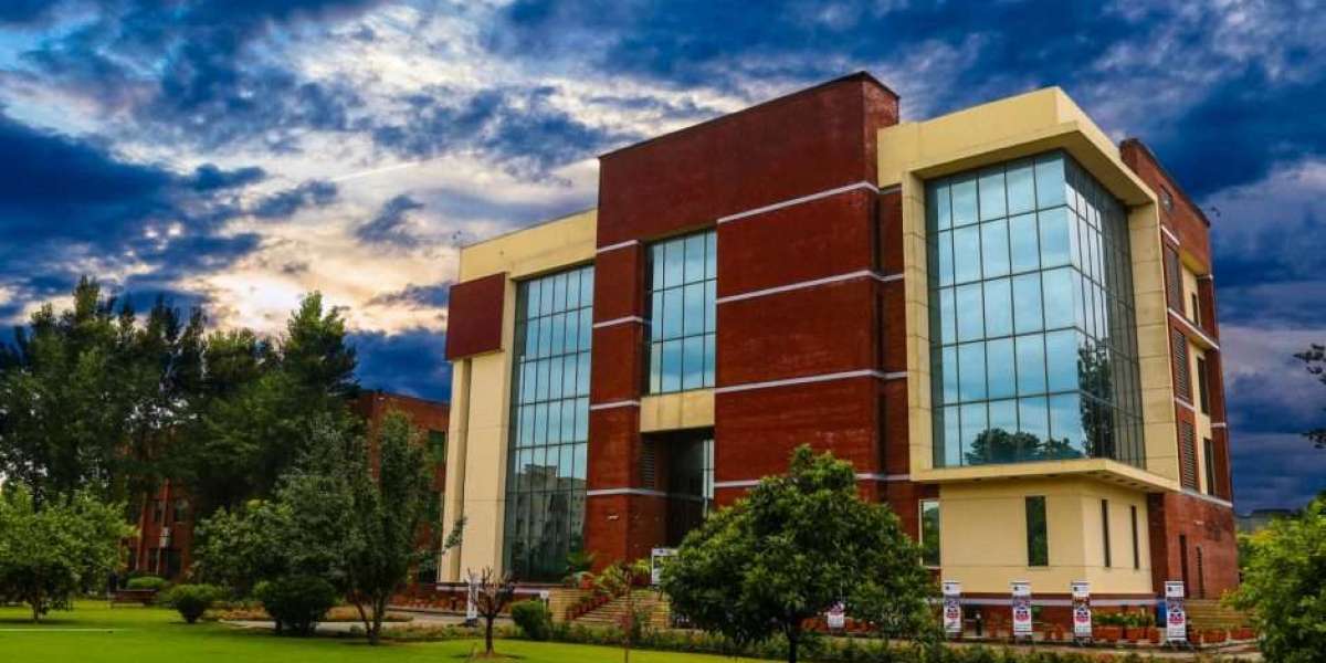 MiTE University Karachi: Pioneering Excellence in Creativity, Business, and Innovation
