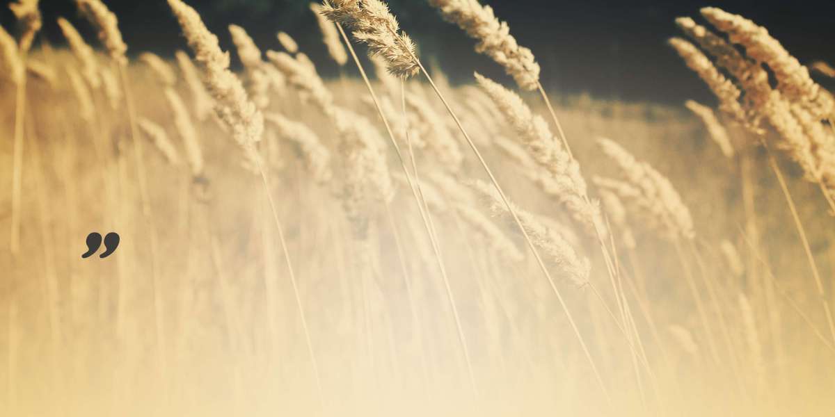 Unlocking Wealth: The Advancements In IRA Gold Accounts