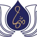 cvv college