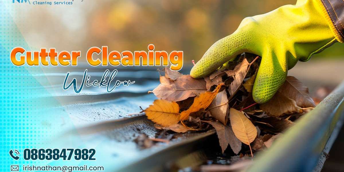Signs You Need Professional Gutter Cleaning in Wicklow