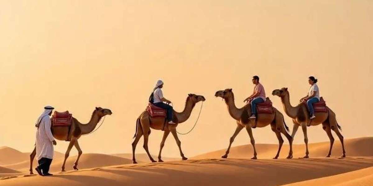 Cheapest Desert Safari in Dubai Budget-Friendly Adventure in the Dunes