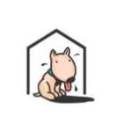 happyhousesitters