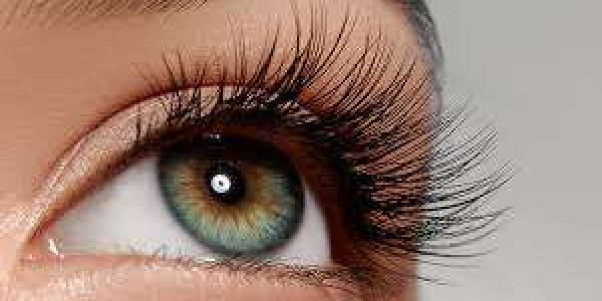 False Eyelashes Market Insights Exploring Regional Preferences And Growth Opportunities In Beauty Segment
