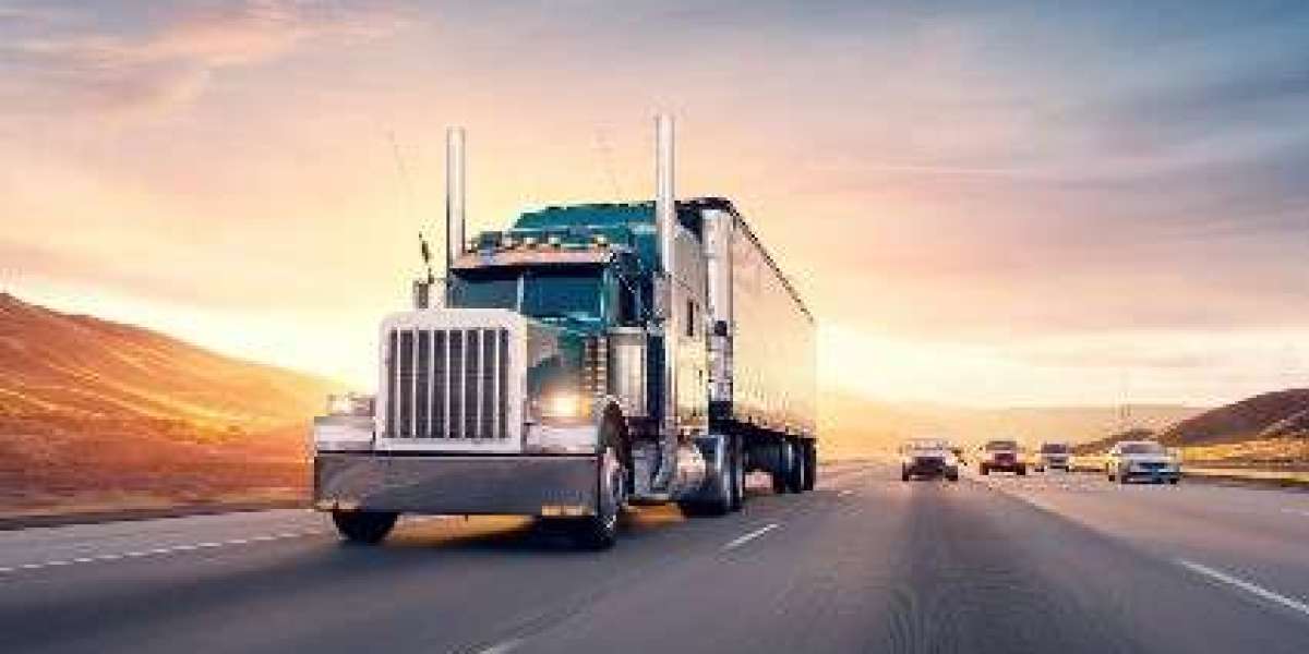 Shipping Support: A Complete Guide for Businesses and Individuals