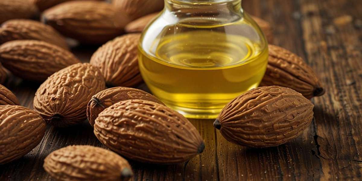 Almond Oil Manufacturing Plant Setup 2025: Machinery Cost and Business Plan Strategy