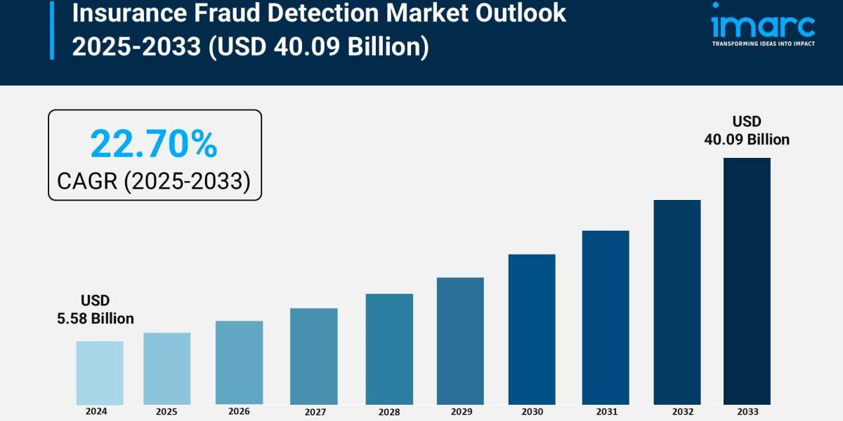 Insurance Fraud Detection Market Share, Growth, and Trends Forecast 2025-2033