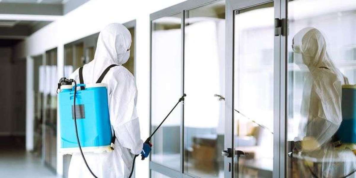 Behind the Toolbox: How Pest Control Professionals Source Their Trusted Equipment