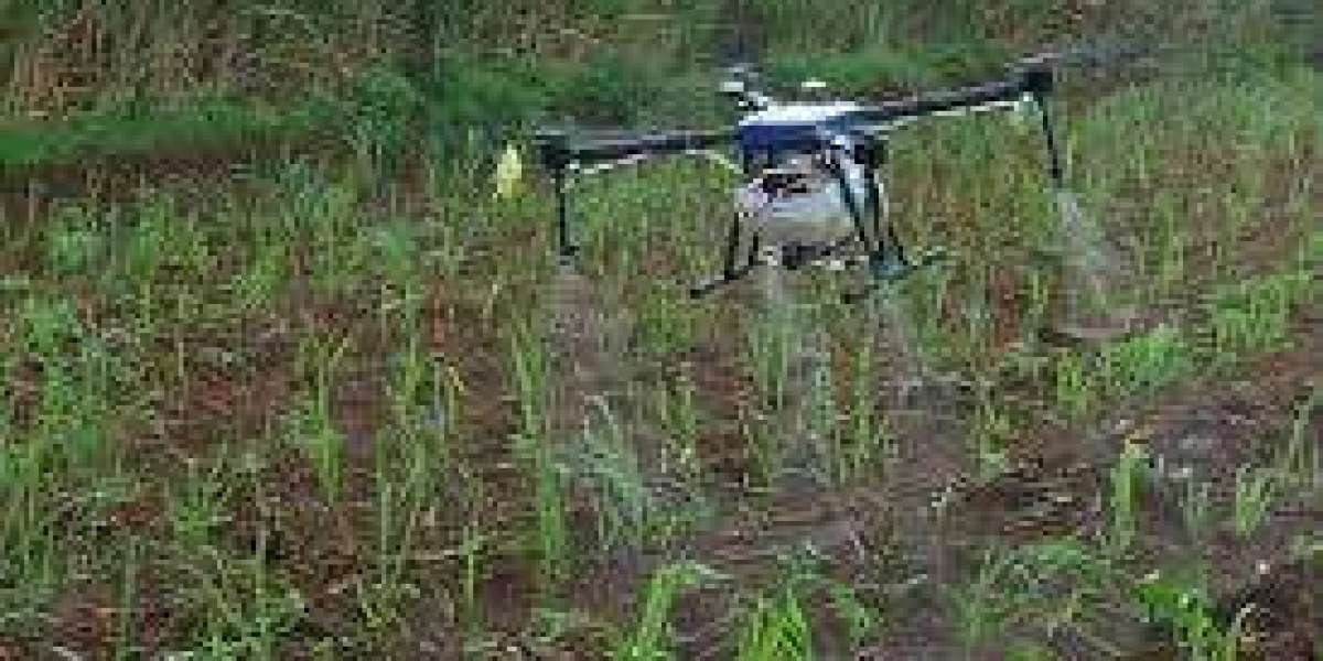Crop Protection Chemicals Market Landscape Analyzing Competitive Environment And Strategic Positioning Globally