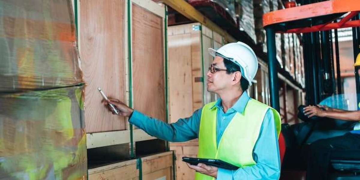Optimize Shipping with State-of-the-Art Freight Dimensioners