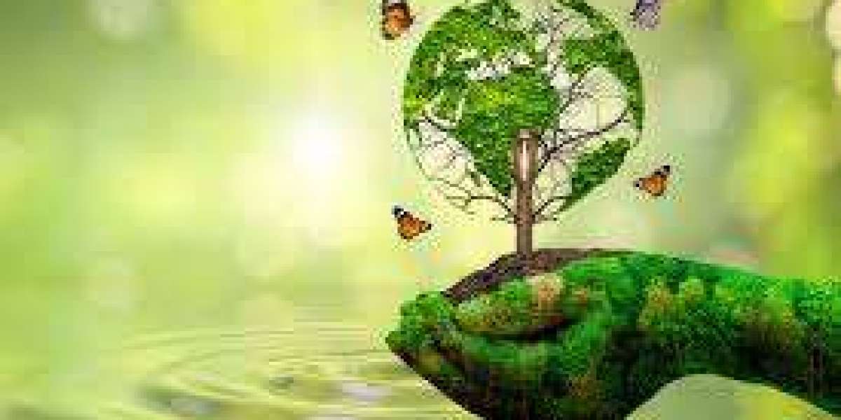 Kamil Pyciak – A Modern Advocate for Environmental Innovation and Global Awareness