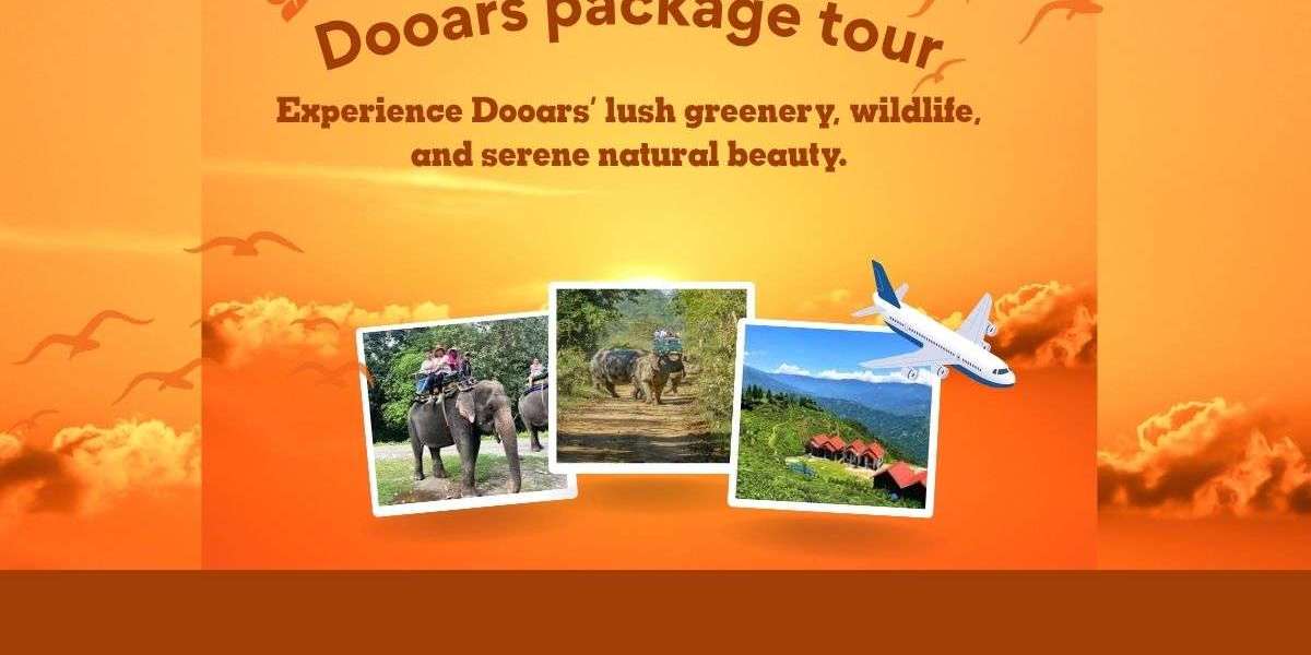 Discover the Wild Charm of North Bengal with Bharati Tours’ Dooars Package Tour