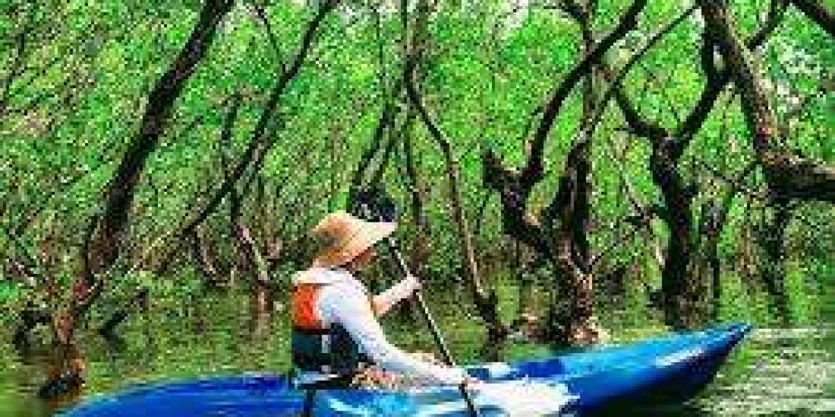 Discover the Best Kayaking and Adventure Water Sports in Goa