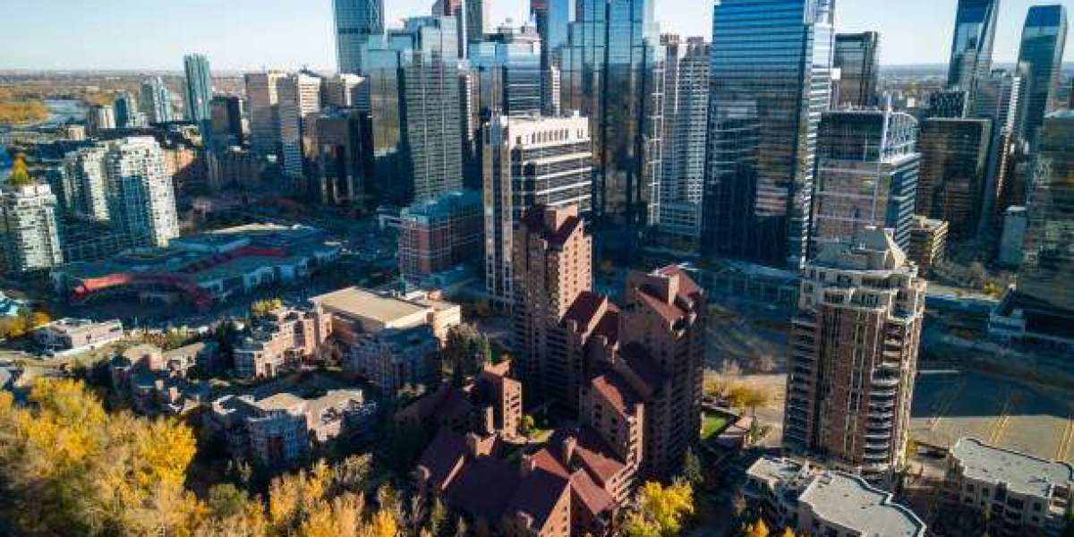 Organizing Property Records: Effective Documentation Strategies