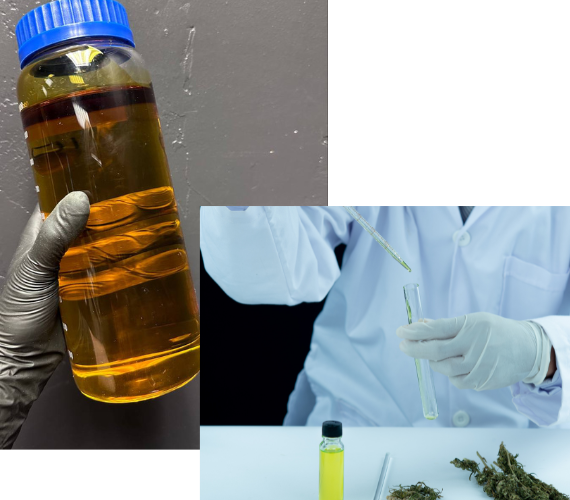 Best Online Shop for Delta Liquids Europe | Fast shipping delta products EU