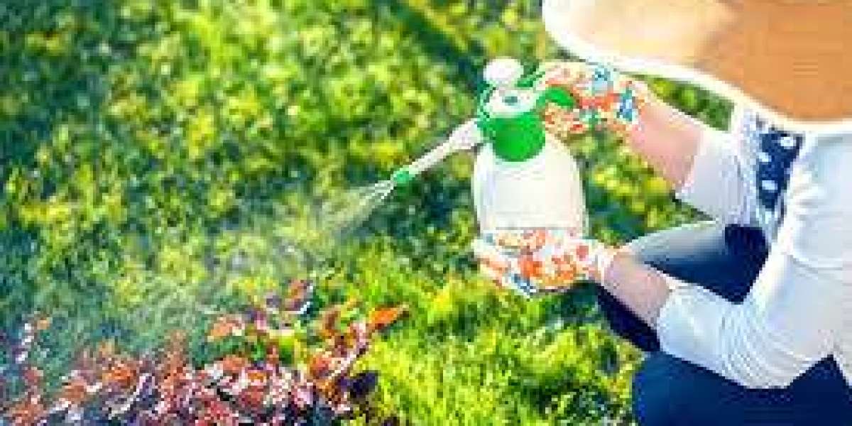 Turning Your Lawn Into a Pest-Resistant Zone