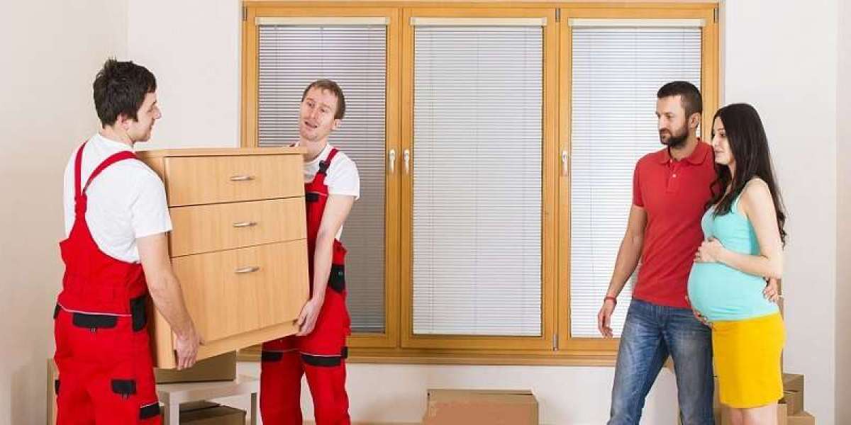 The Rise of Movers Brisbane – Affordable Solutions for Modern Moves
