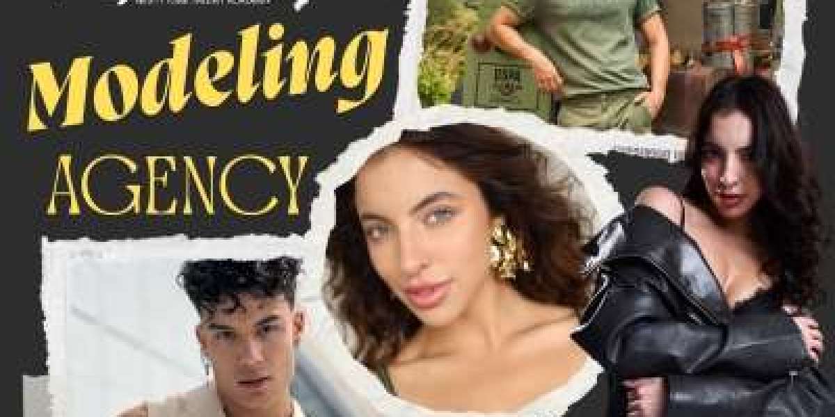 Unlocking Your Modeling Career: Inside Delhi’s Premier Modeling Institutes