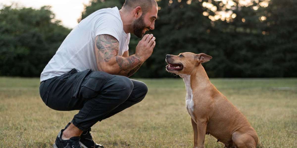 How Puppy Training in West Palm Beach Builds Good Habits Early