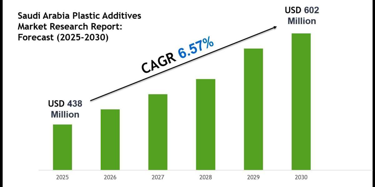 Saudi Arabia Plastic Additives Market Share, Size & Competitive Landscape Report 2030