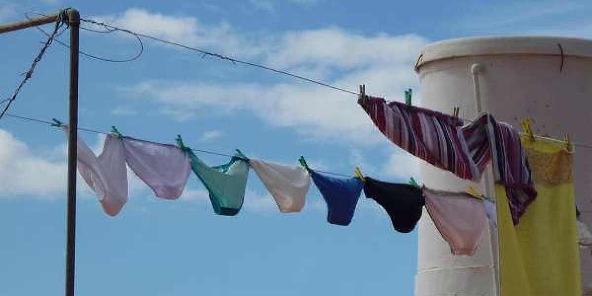 Wholesale Toddler Panties: Comfort, Quality, and Affordability from Cotton Connection
