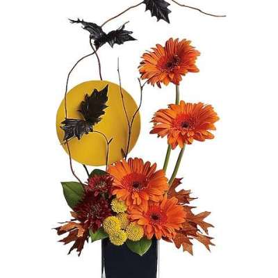 Halloween Teleflora's Boo-tiful Bats Profile Picture
