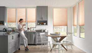 Motorized Blinds and Shades