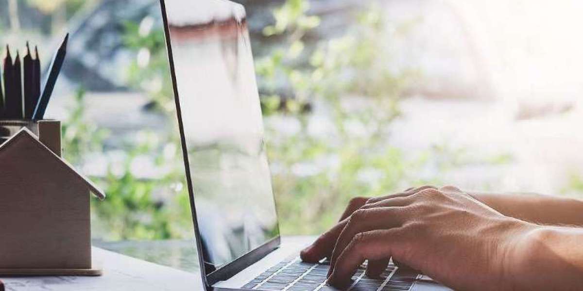 Essential Tips for Burlington Website Design Beginners
