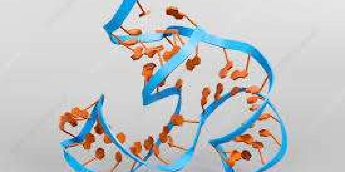 Aptamer Market analysis emphasizing research growth, technological innovations, and expanding healthcare applications