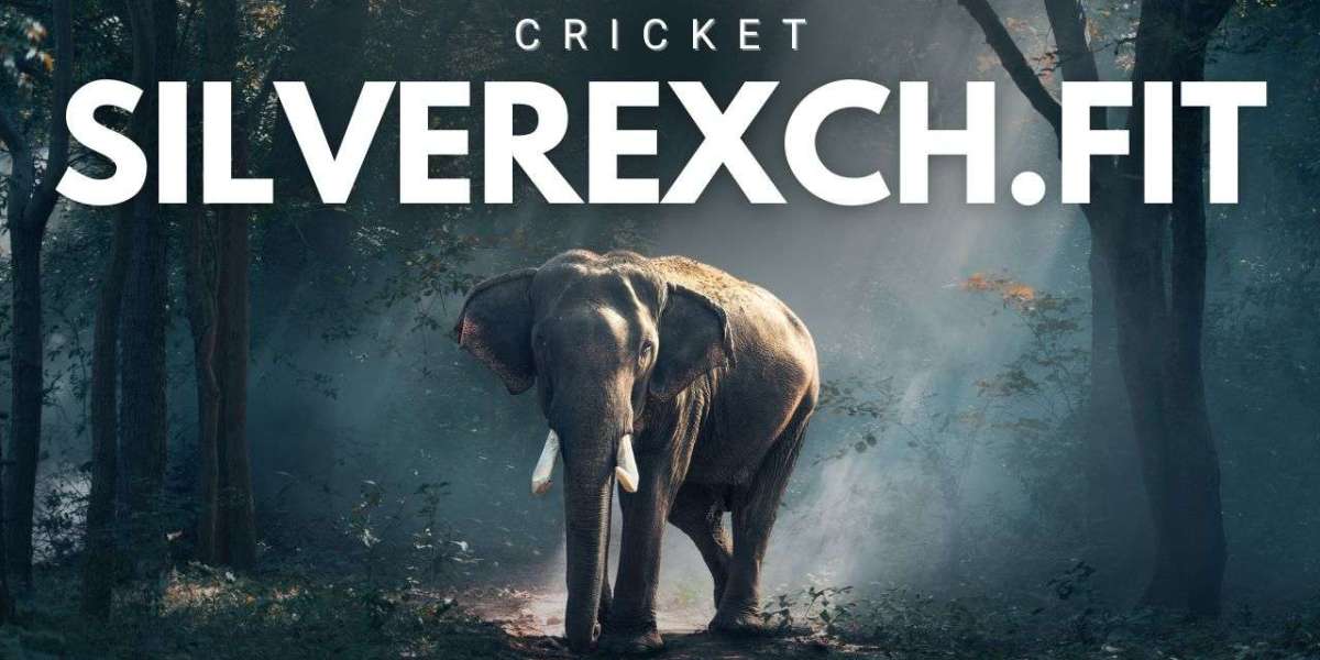 Indian Cricket: Tradition, Talent, and Digital Innovation with Silverexch