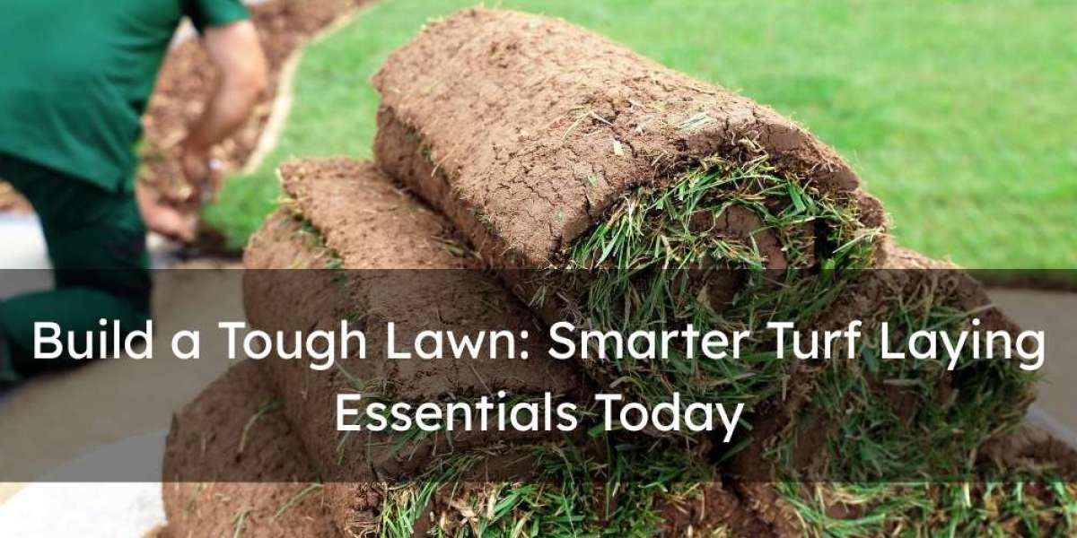 Build a Tough Lawn: Smarter Turf Laying Essentials Today