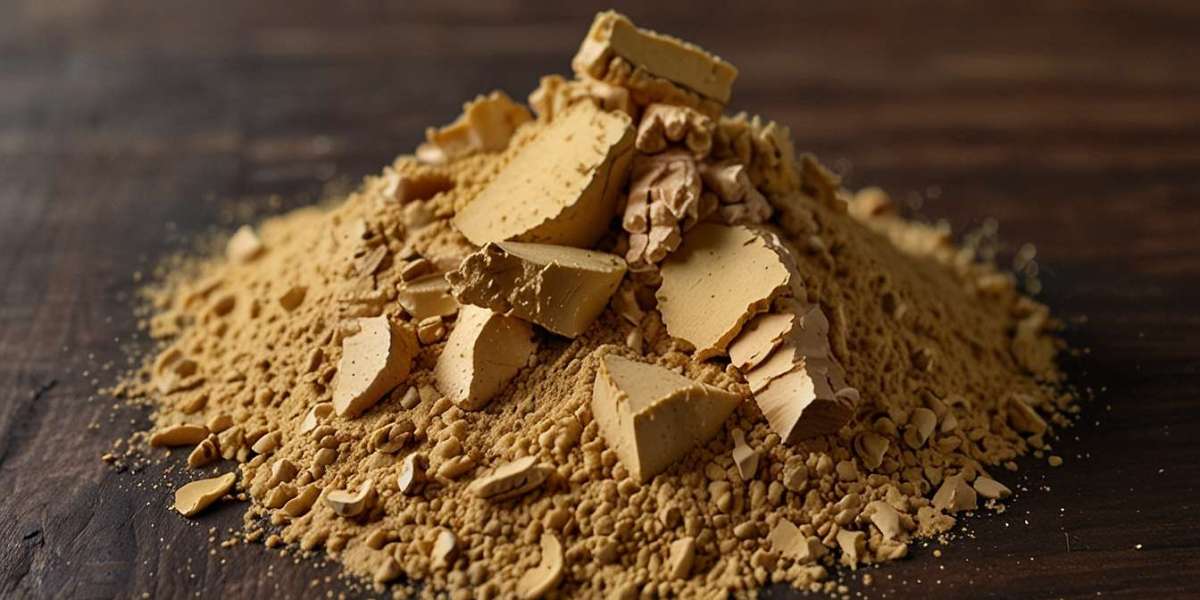 Ginger Powder Manufacturing Plant Cost 2025: Industry Trends, Machinery and Raw Materials