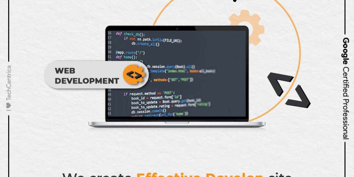 Professional Web Development Services in Noida