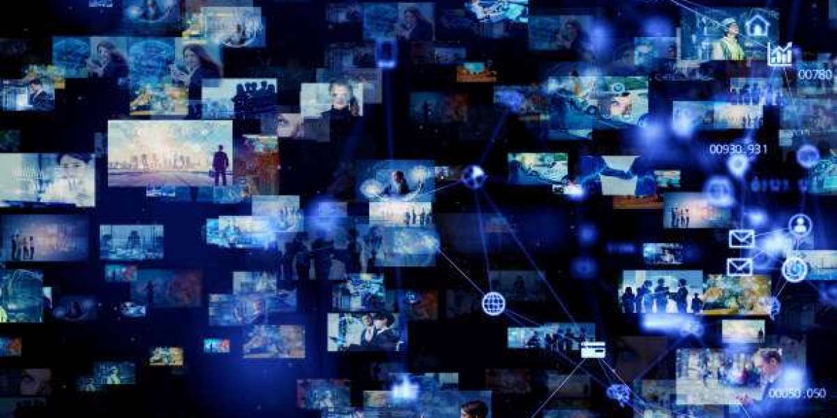 Maximizing Film Potential with a Film Distribution Company
