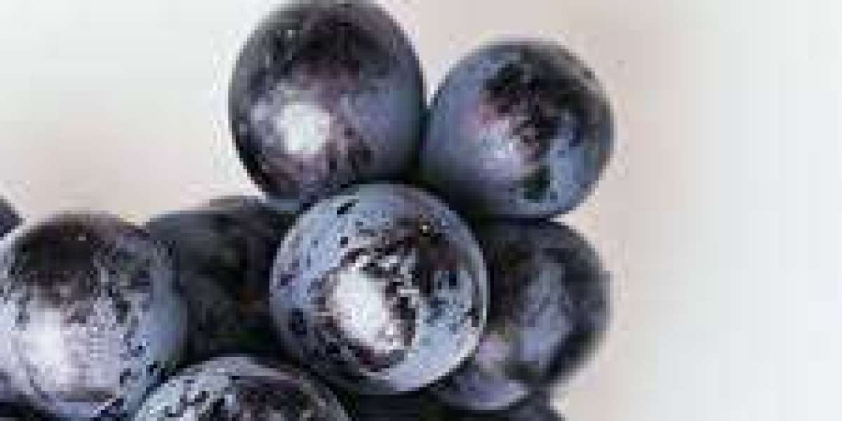 Grape Skin Extract Market Experiences Rapid Expansion Driven By Nutraceutical And Cosmetic Demand
