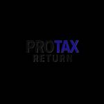 Pro Tax Return