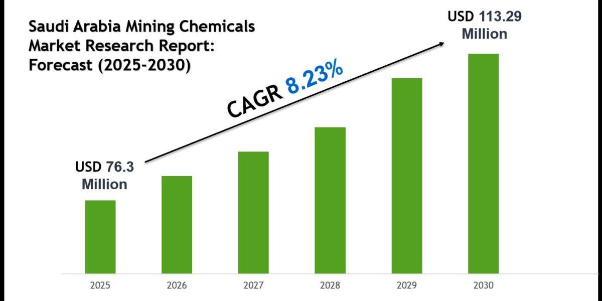 Saudi Arabia Mining Chemicals Market 2030: Executive Summary, Key Trends & Future Outlook
