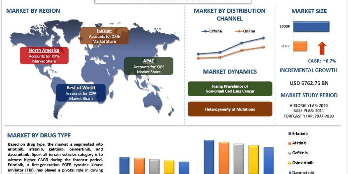 EGFR-NSCLC Market Report, Size, Share, Trends & Forecast 2030 | UnivDatos
