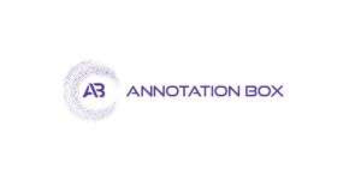 Unlocking AI Potential with Expert Data Annotation Services