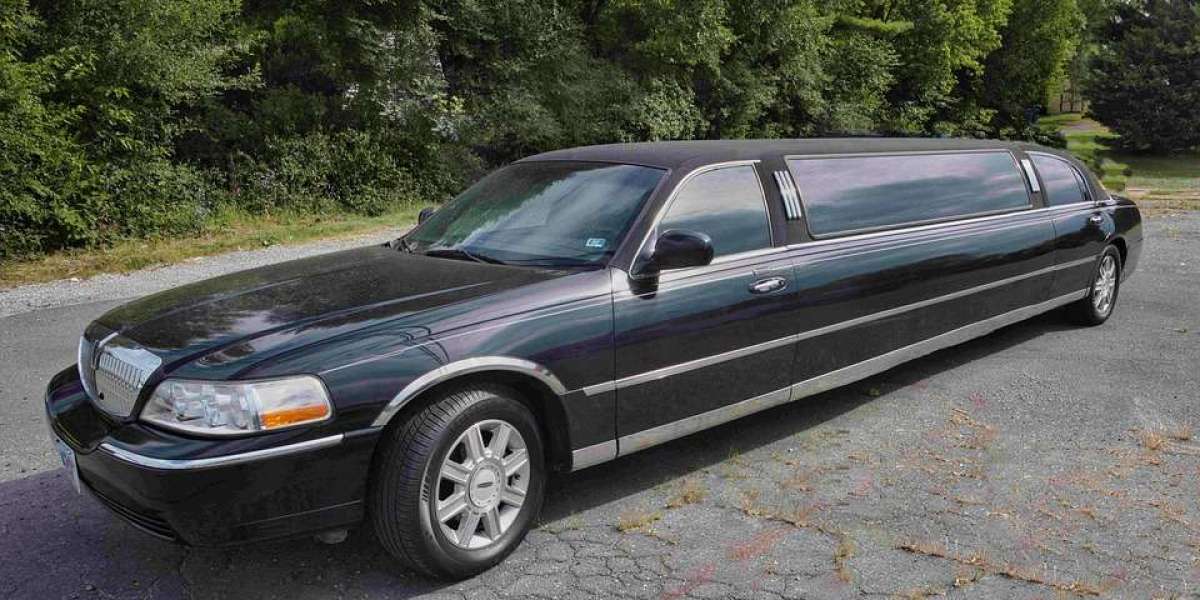 Birthday Party Limo Toronto – Party on Wheels with Premium Style