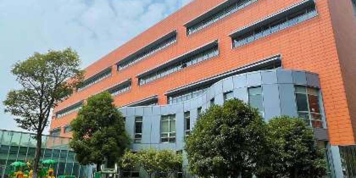 Why Wuhan Yangtze International School Is a Top Choice for Expats in Central China