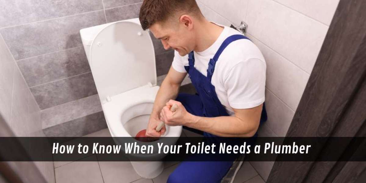 How to Know When Your Toilet Needs a Plumber