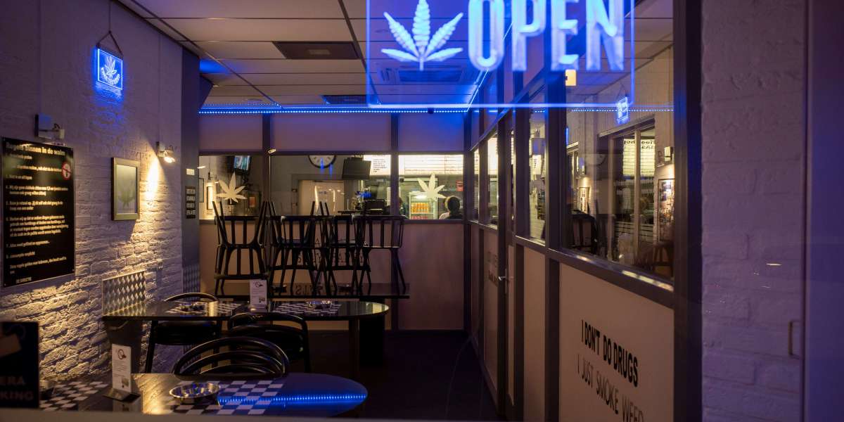 Your Guide to Finding Medicinal Weed Doctors Near Me