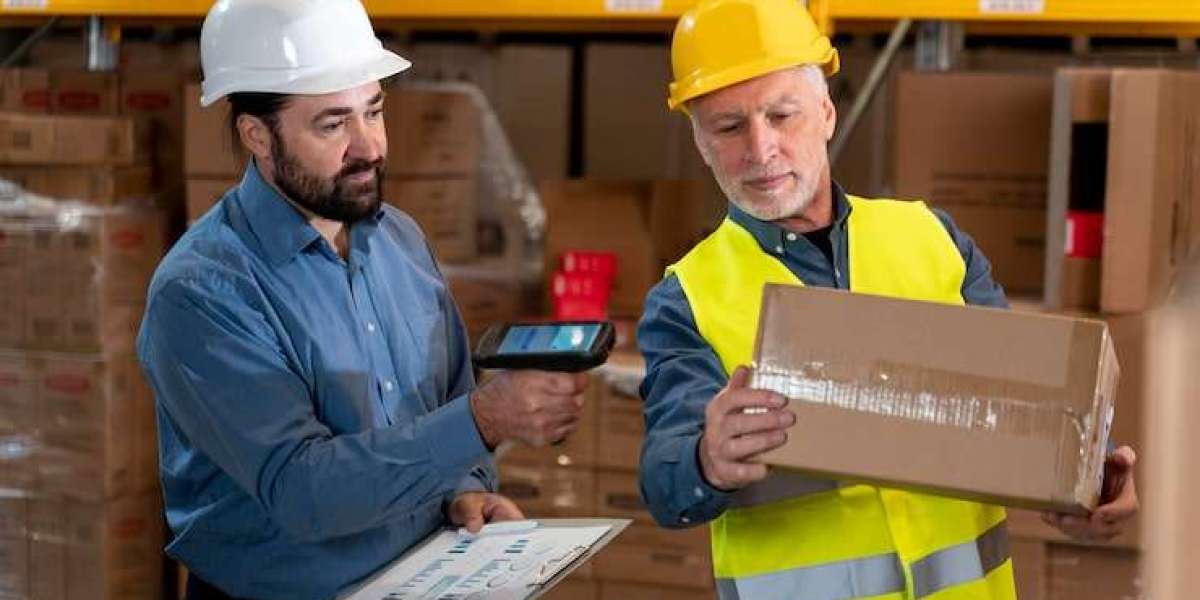 Comprehensive Transportation Audit for Cost Efficiency