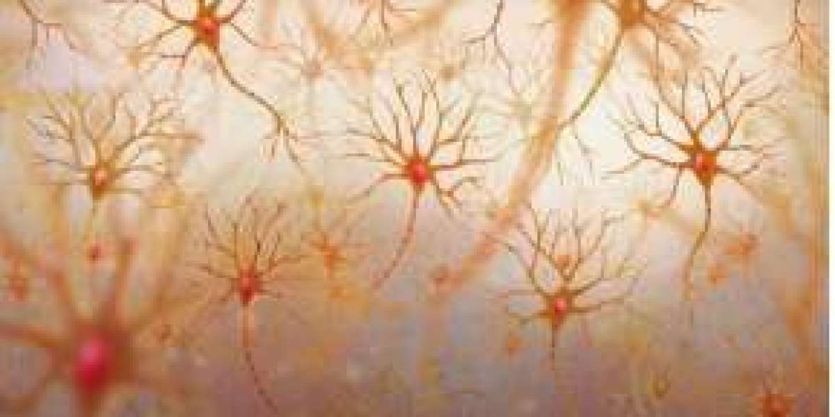 Advancements in Neuroscience Research Propel Breakthroughs in Neurological Therapies
