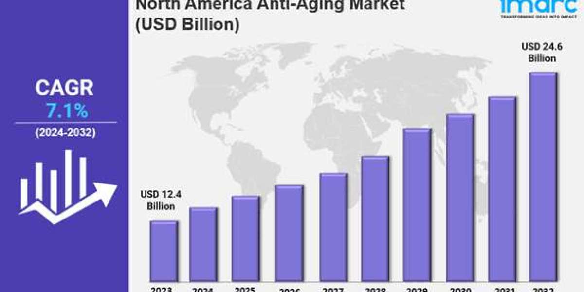 North America Anti-Aging Market  Size, Share, Industry Trends, Growth and Forecast 2025-2033