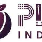 Plum Industry