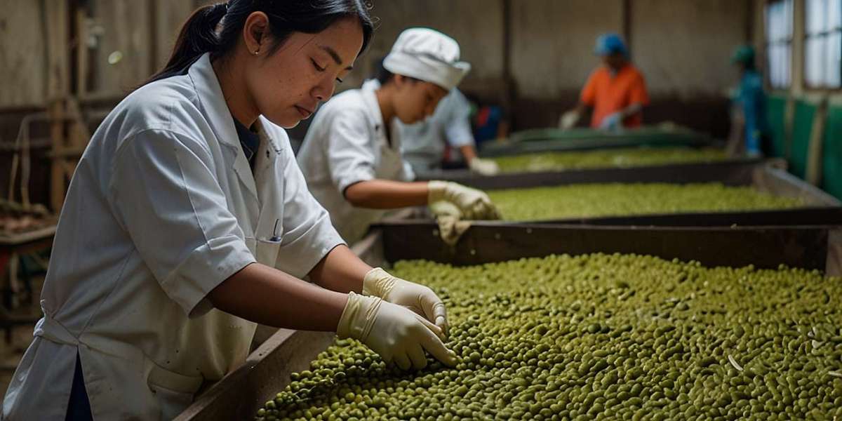 Mung Bean Processing Plant Setup 2025: Machinery Details, Industry Trends and Cost Involved